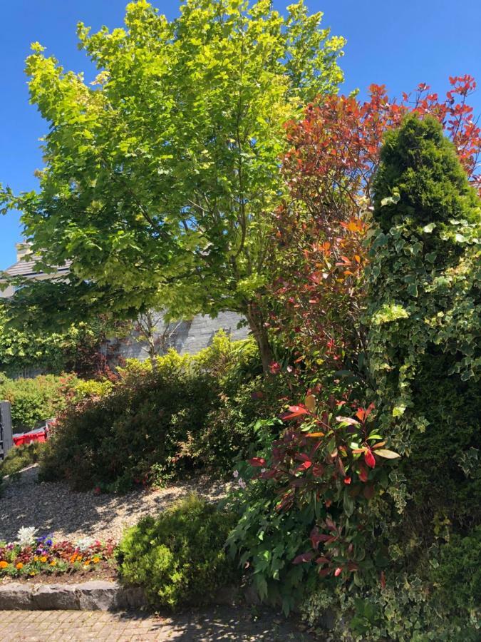 Bed and Breakfast Amber Hill Galway Exterior foto