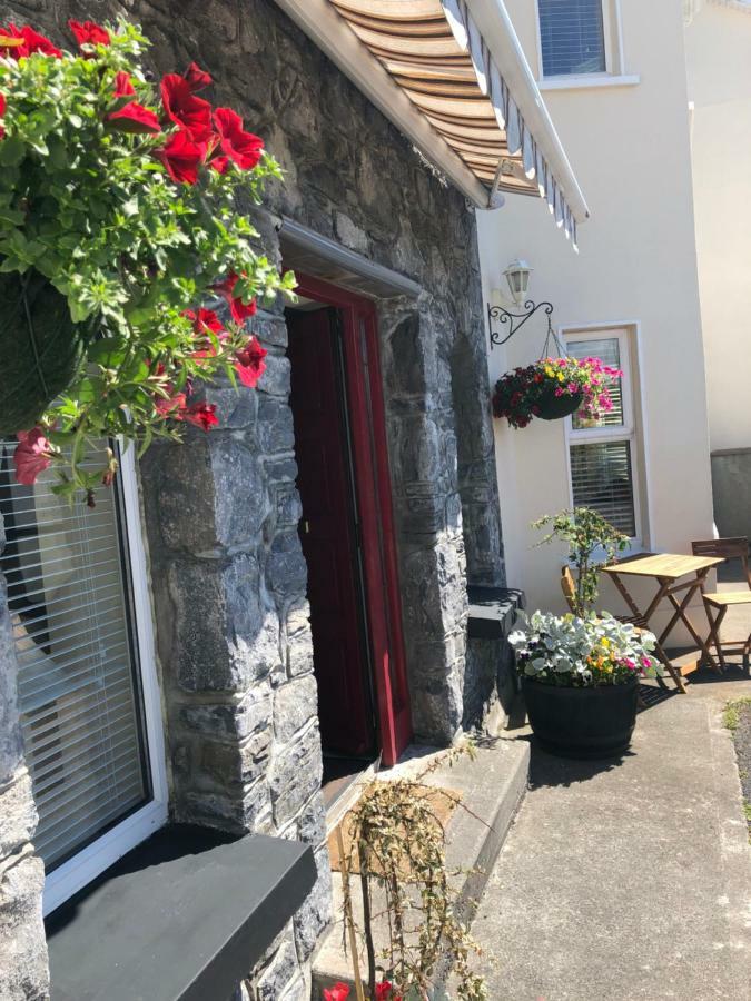 Bed and Breakfast Amber Hill Galway Exterior foto