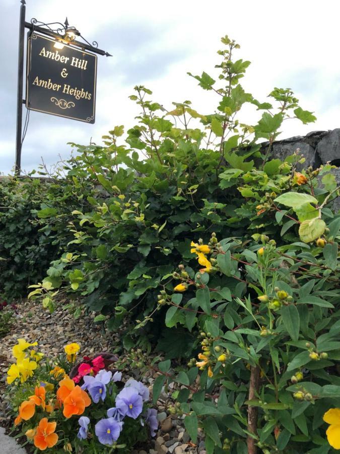 Bed and Breakfast Amber Hill Galway Exterior foto